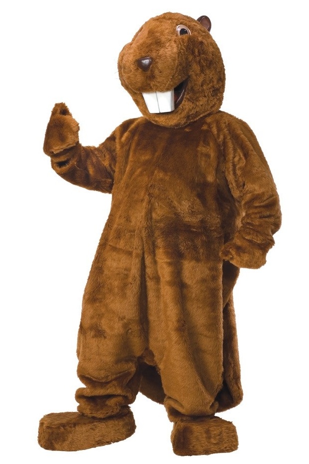 Beaver Mascot Costume similar-image